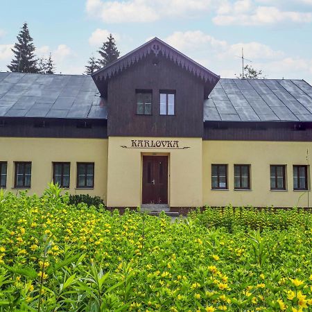 Chalet Karlovka By Interhome Hrabetice  Eksteriør billede