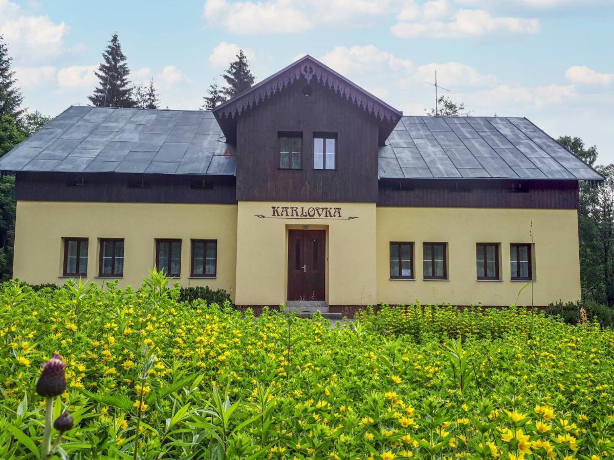 Chalet Karlovka By Interhome Hrabetice  Eksteriør billede